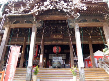 関西の一番桜を告げる紀三井寺のサクラ参りと周辺観光