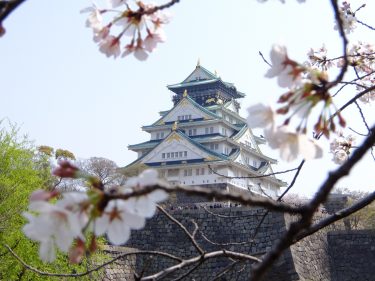 2019年もサクラを愛でる　世界に通じる大阪城