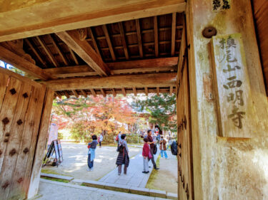 三尾の槙尾山　西明寺は平たんな参道で紅葉を狩りやすい