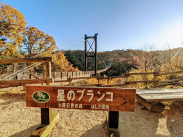 大阪の紅葉シーズン最後は　ほしだ園地で星のブランコ