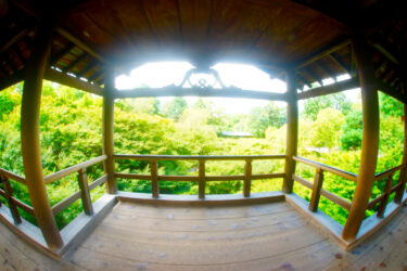 夏の東福寺　青紅葉と風車で涼を感じて　3つの橋を堪能する