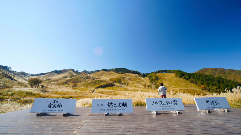 砥峰高原で金色の草原に分け入り 見下ろす眺望 展望所から東屋を│歩彦