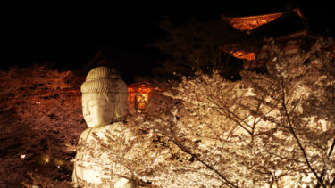 桜に囲まれた大仏　壷阪寺