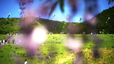 鯉のぼりがなびく　白井大町藤公園