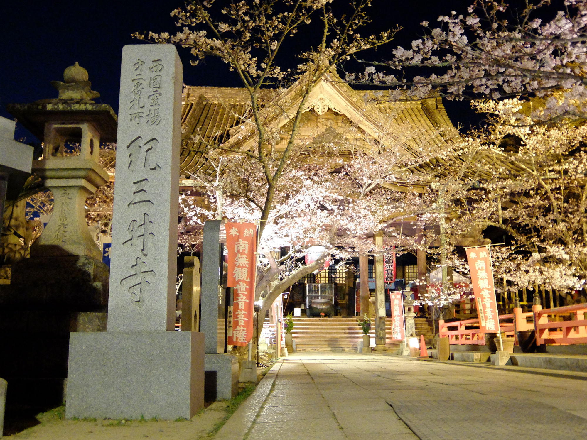 関西の一番桜を告げる紀三井寺のサクラ参りと周辺観光19 I Can Go