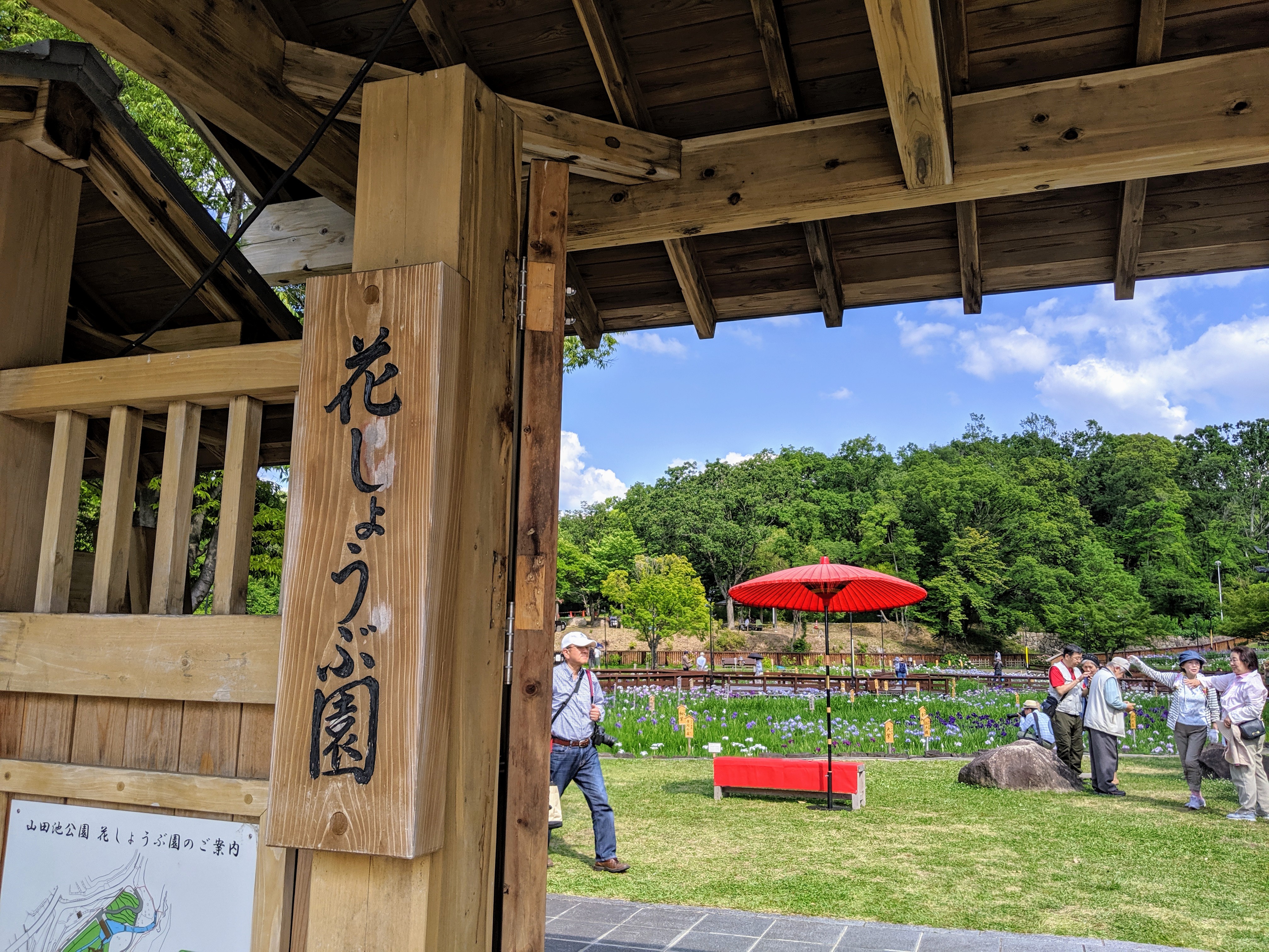 山田池公園 花しょうぶ園が見ごろを迎えましたよ19 I Can Go